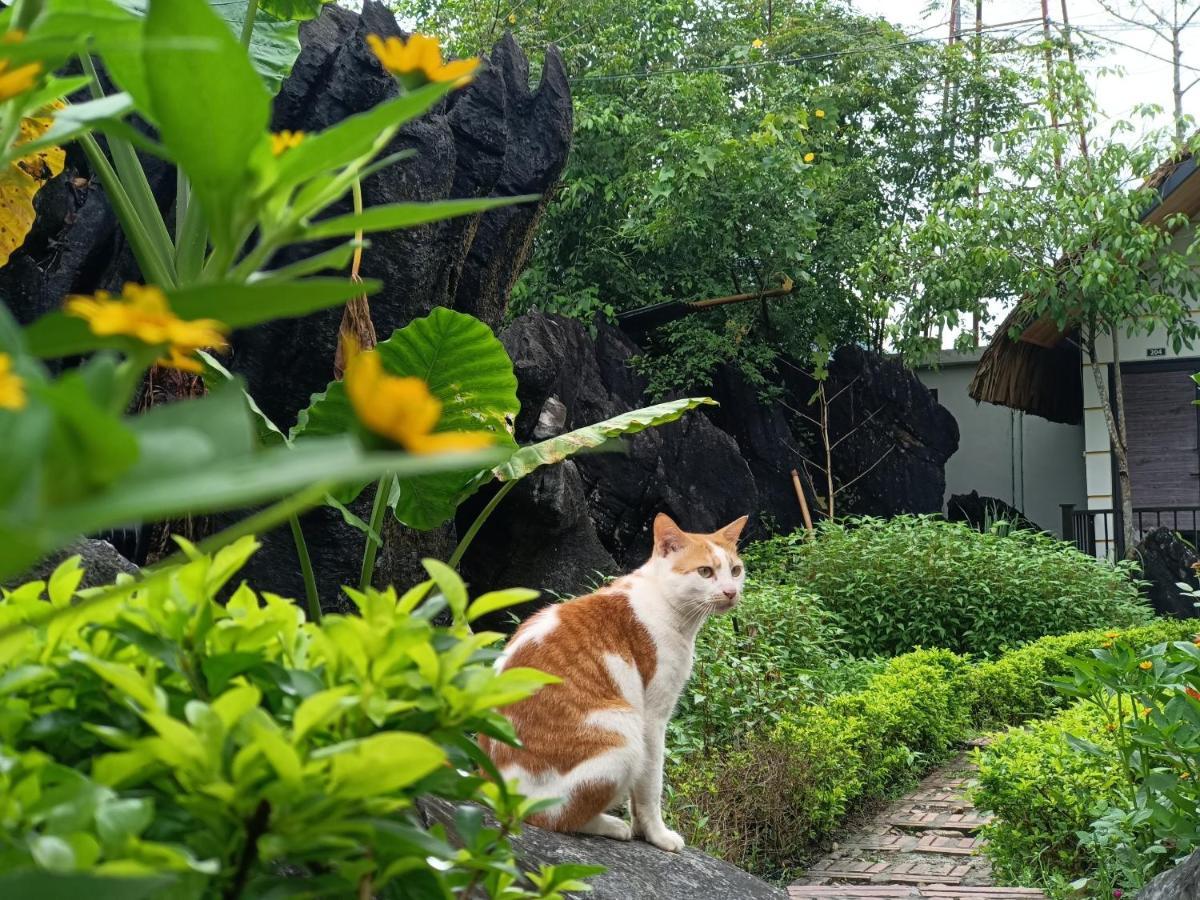 Wings Ha Giang Loop Bungalow Zewnętrze zdjęcie